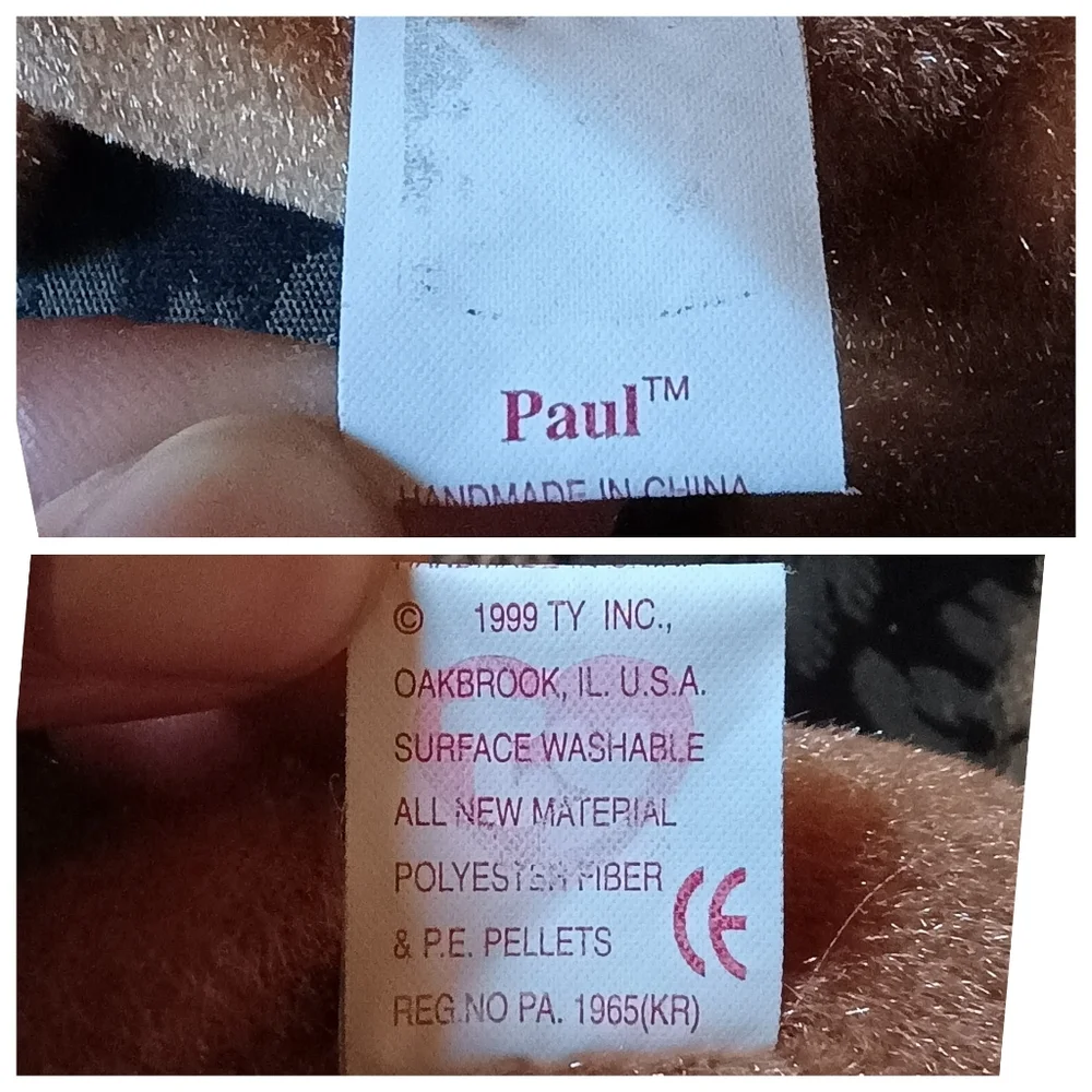 Paul the Walrus 1999 Vintage TY Beanie Babies 6in No Tag - Picture 7 of 7